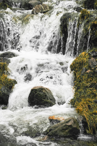 Water cascades over smooth stones, creating a soothing sound in this serene mountain setting. Lush green moss highlights the natural beauty of the environment.