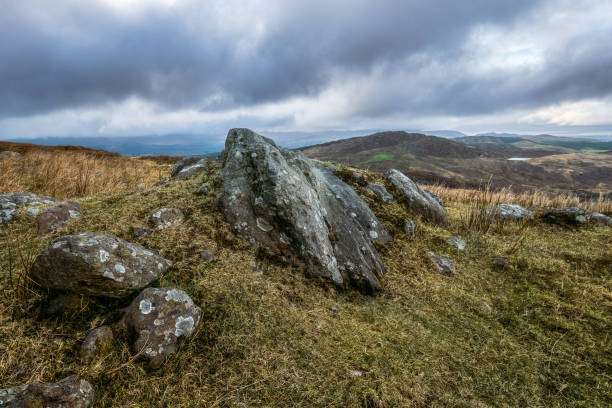 istock Rocks and dry grass dominate the foreground. The background displays rolling hills under a dark, cloudy sky. A distant lake is visible. 2198400313