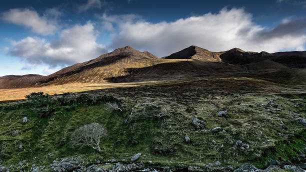 istock Mountain silhouette against dramatic clouds with lone tree in foreground at golden hour. 2198400484