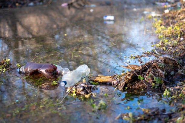 istock Plastic Bottle Pollution in the Lake. Environmental Impact 2198405468
