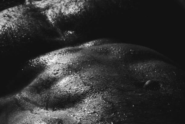 istock Sexy male body. Black and white 2198408278