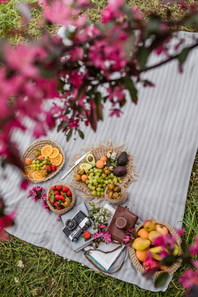 Summer picnic in nature with avocado peach and grapes on a straw plate