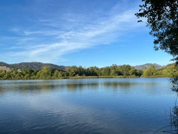 istock Spring Lake Regional Park,  Sonoma County, California 2198416965
