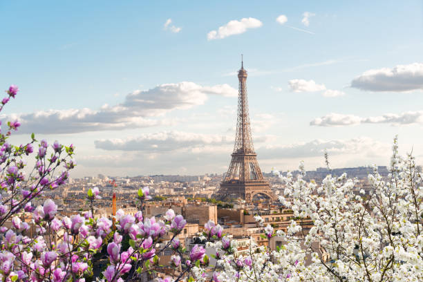 istock eiffel tour and Paris cityscape 2198417005