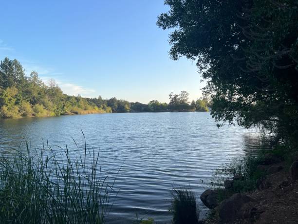 istock Spring Lake Regional Park,  Sonoma County, California 2198417134