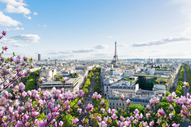istock eiffel tour and Paris cityscape 2198417774