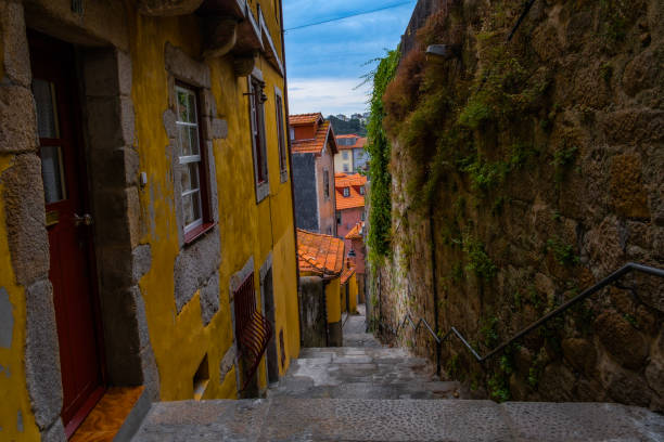 A narrow street lined with stone steps leading down to a yellow building on the right and a wall of moss on the left