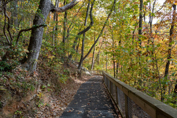 istock West Ridge Falls Access Trail at Amicalola State Park in George is an ADA-compliant pathway to the waterfall. It is made of recycled tire material. 2198420829
