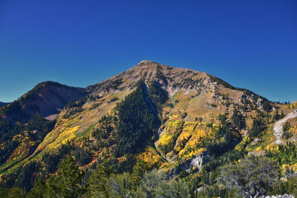 istock Box Elder Peak view looking up from hiking trail, American Fork Canyon. Wasatch Range Rocky Mountains, Utah, United States. 2198423796