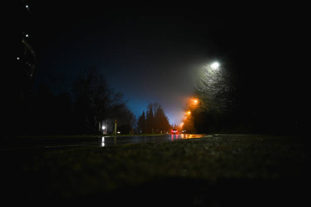 Night country road landscape.