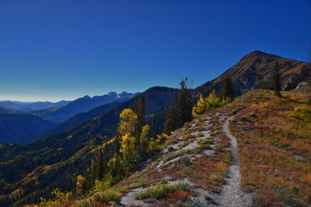 istock Box Elder Peak view looking up from hiking trail, American Fork Canyon. Wasatch Range Rocky Mountains, Utah, United States. 2198423934