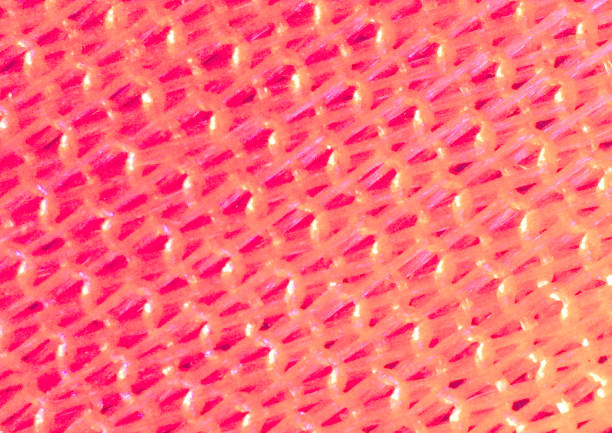 Bright pink pattern, fragment of fabric, textile. Image under the microscope, micro photography. Science, study and education. Multiple zoom, close-up. Scientific photography new