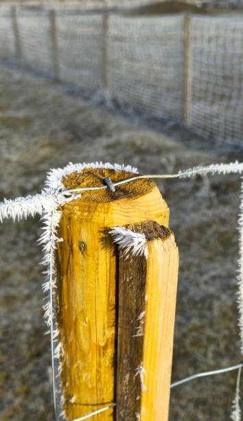 istock Frost close-up on a wooden pole holding barbed wire 2198426266