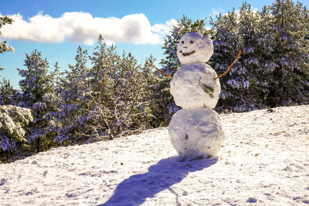 Mature couple delightfully smiling on a selfie with a snowman, showing playfulness & joy in snowy charming forest. Active senior people and healthy lifestyle.