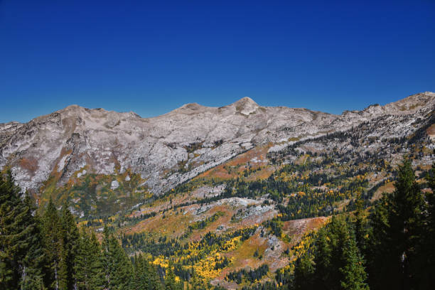 istock Lone Peak Wilderness from Box Elder Peak hiking trail, Wasatch Range  Rocky Mountains, Utah, United States. 2198426546