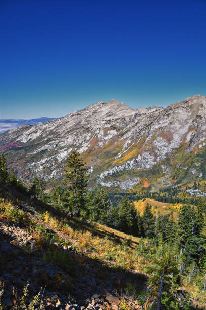 istock Lone Peak Wilderness from Box Elder Peak hiking trail, Wasatch Range  Rocky Mountains, Utah, United States. 2198426577