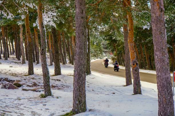 istock Snowy trees and a road 2198426630