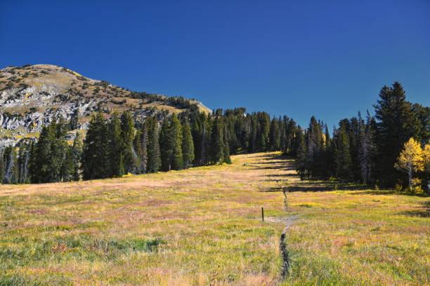Box Elder Peak Hiking Trail, American Fork Canyon. Uinta-Wasatch-Cache National Forest, Wasatch Range Rocky Mountains, Utah, United States.