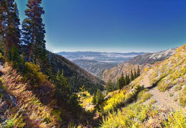 Box Elder Peak Hiking Trail, American Fork Canyon. Uinta-Wasatch-Cache National Forest, Wasatch Range Rocky Mountains, Utah, United States.