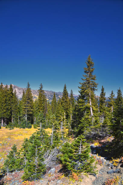 istock Box Elder Peak Hiking Trail, American Fork Canyon. Uinta-Wasatch-Cache National Forest, Wasatch Range Rocky Mountains, Utah, United States. 2198431534