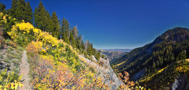 istock Box Elder Peak Hiking Trail, American Fork Canyon. Uinta-Wasatch-Cache National Forest, Wasatch Range Rocky Mountains, Utah, United States. 2198432412