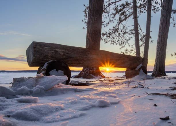 A wooden bench sits in a snowy landscape, with the sun setting behind it, casting a warm glow across the scene. Tall trees stand around the bench, adding to the tranquil winter atmosphere. Kelly Beach, Higgins Lake, Michigan. 2/7/25