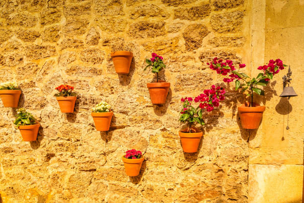 istock old town of Valdemossa, Majorca 2198433069