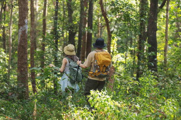istock A couple hikes through a dense forest, carrying backpacks and trekking poles. 2198443771