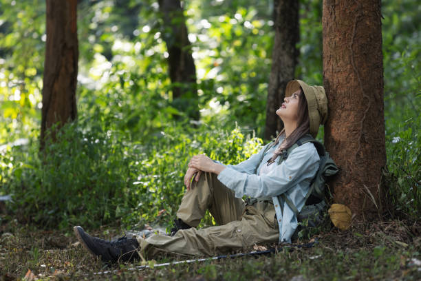 istock A female hiker sits under a tree in a lush forest, resting and enjoying the peaceful surroundings. 2198443999
