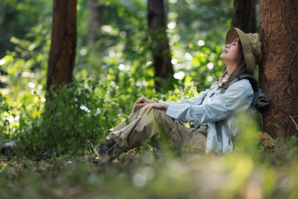 istock A female hiker sits under a tree in a lush forest, resting and enjoying the peaceful surroundings. 2198444003