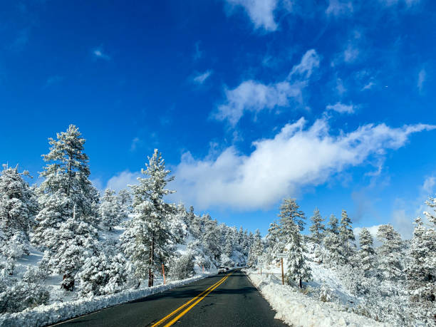 Snowy road with beautiful nature