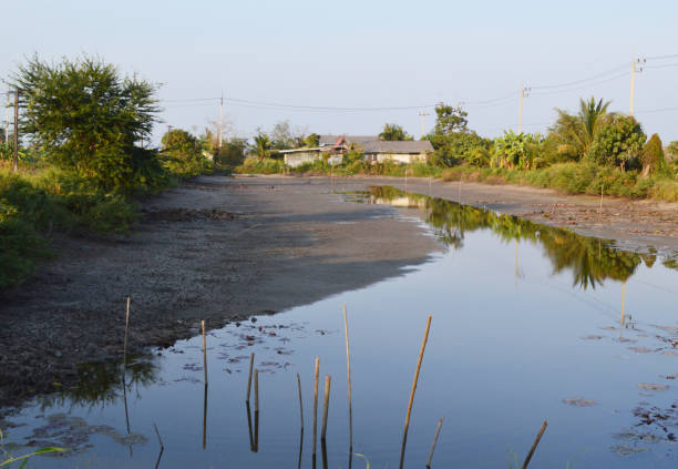 dry pond in country Thailand