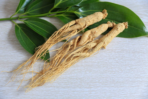 istock Chinese herbal medicine American ginseng 2198460120