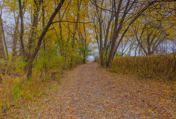 Walking along a trail in the autumn season.