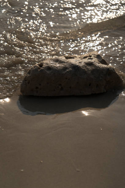 istock Coral on the beach washed by waves 2198467380