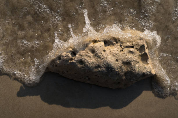 istock Coral on the beach washed by waves 2198467431
