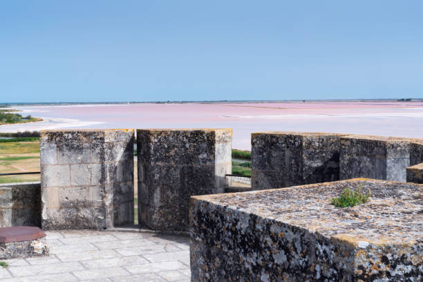 Pink salt flats beyond the ancient 13th century ramparts that enclose the town of Aigues-Mortes, Camargue, France