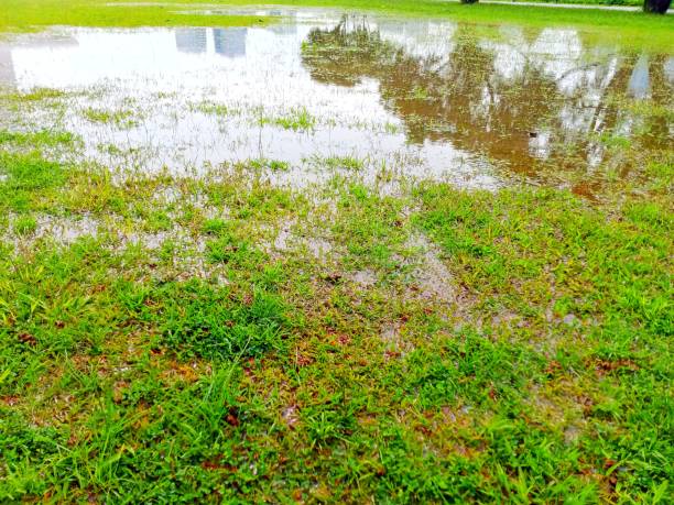 istock The garden area is flooded with rainwater 2198478214