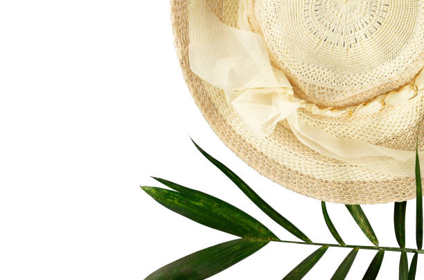 brown hat isolated on white background, vintage cloth style