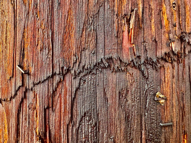 cracked wooden background