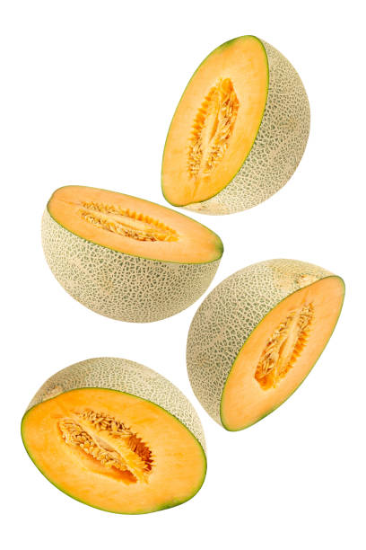istock Falling Cantaloupe Melon isolated on white background with clipping path, full depth of field 2198484346