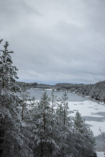 istock Snow-covered lake surrounded by a winter forest. Dubkalni quarry, Latvia 2198485839