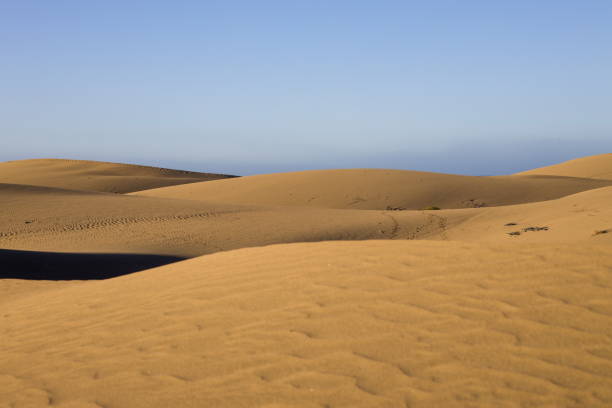 Maspalomas Dunes in Gran Canaria. Textured sand dunes with patterns, shadows, and faint footprints. Minimalist desert landscape. Perfect for nature, travel, or minimalist projects.