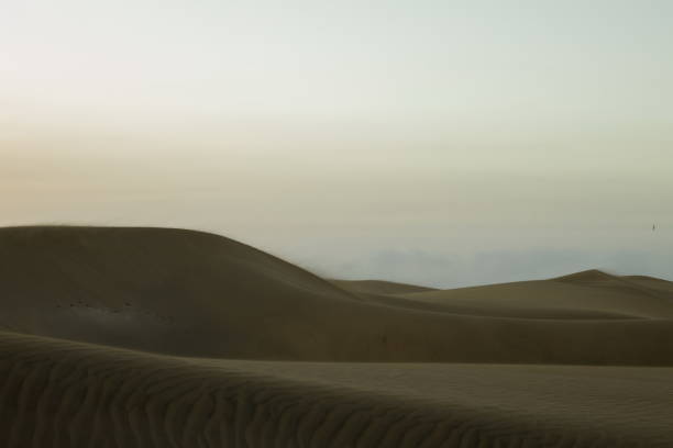 istock Maspalomas Dunes, Sand dune landscape at sunset or sunrise. 2198488725