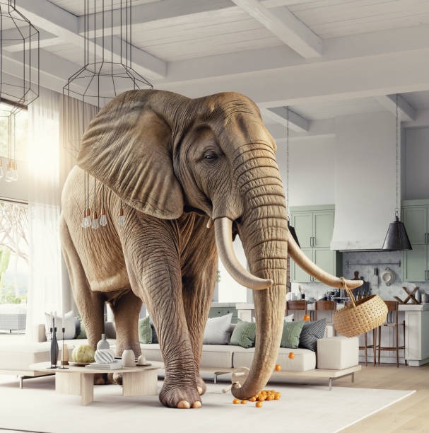 istock Elephant in a modern living room 2198490067
