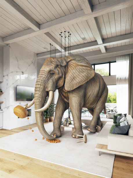 istock Elephant in a modern living room 2198490080