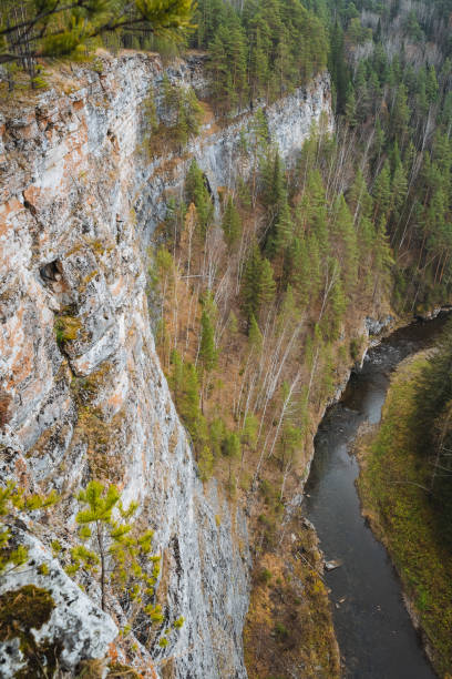 istock A river flowing through a canyon surrounded by trees and rocks 2198491169