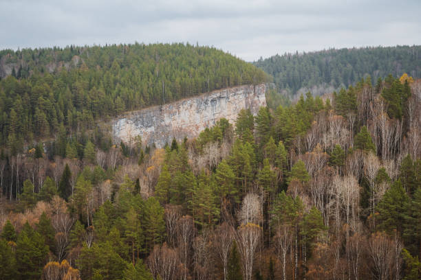 There is a magnificent mountain that is densely covered in a variety of trees, and in the background, there is a prominent rock formation adding to the beauty of the natural landscape