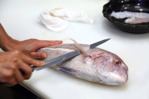 The chef is cutting fish for Japanese sashimi