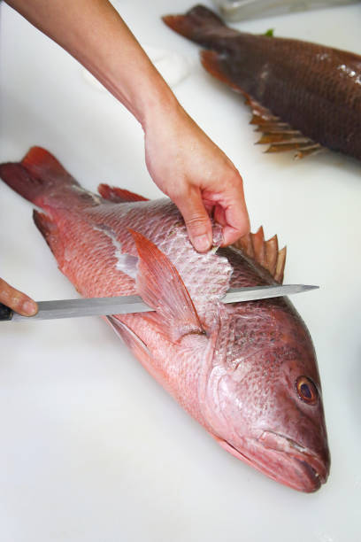 The chef is cutting fish for Japanese sashimi